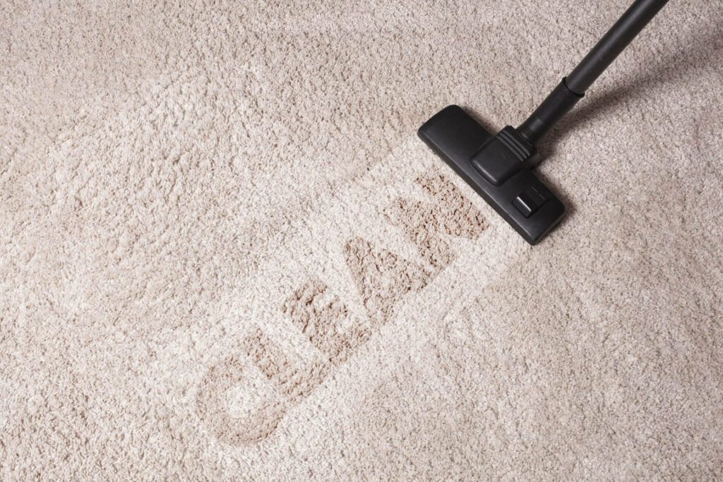 Dry-Carpet-Cleaner